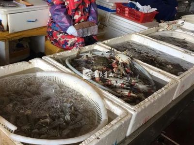 節(jié)后市場觀察 菜價(jià)回落水產(chǎn)品降價(jià)，農(nóng)產(chǎn)品供需趨穩(wěn)