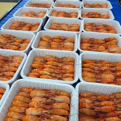 全膏羅氏蝦 水產(chǎn)品中的營養(yǎng)瑰寶與餐桌新寵